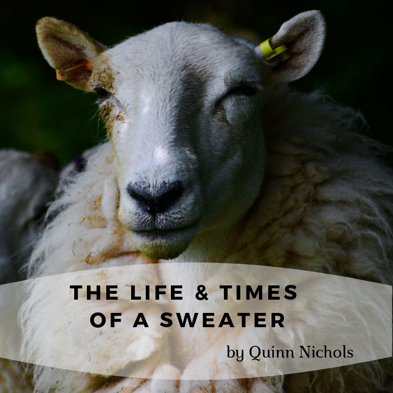 The Life & Times of a Sweater by Quinn Nichols
