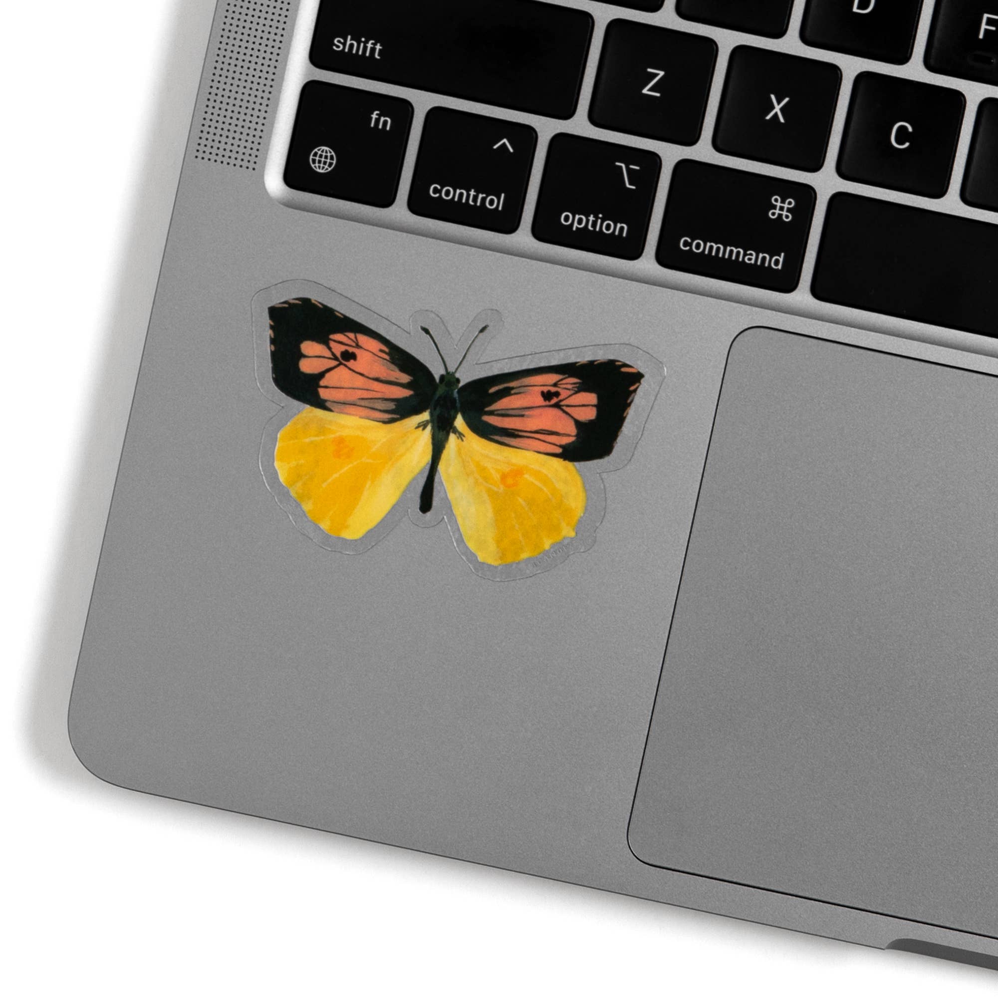 California Dogface Butterfly Decal Sticker