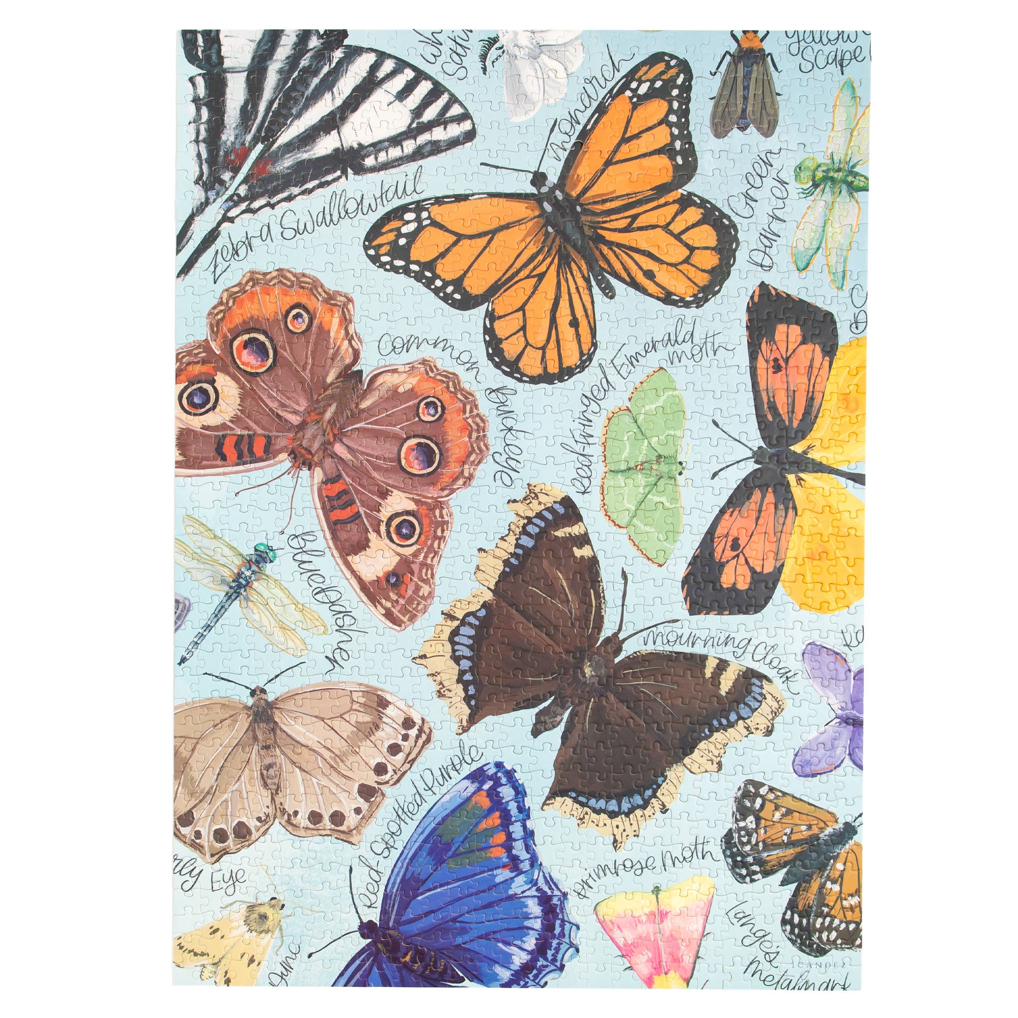 Flutter Friends Butterfly - 1,000 Piece Jigsaw Puzzle