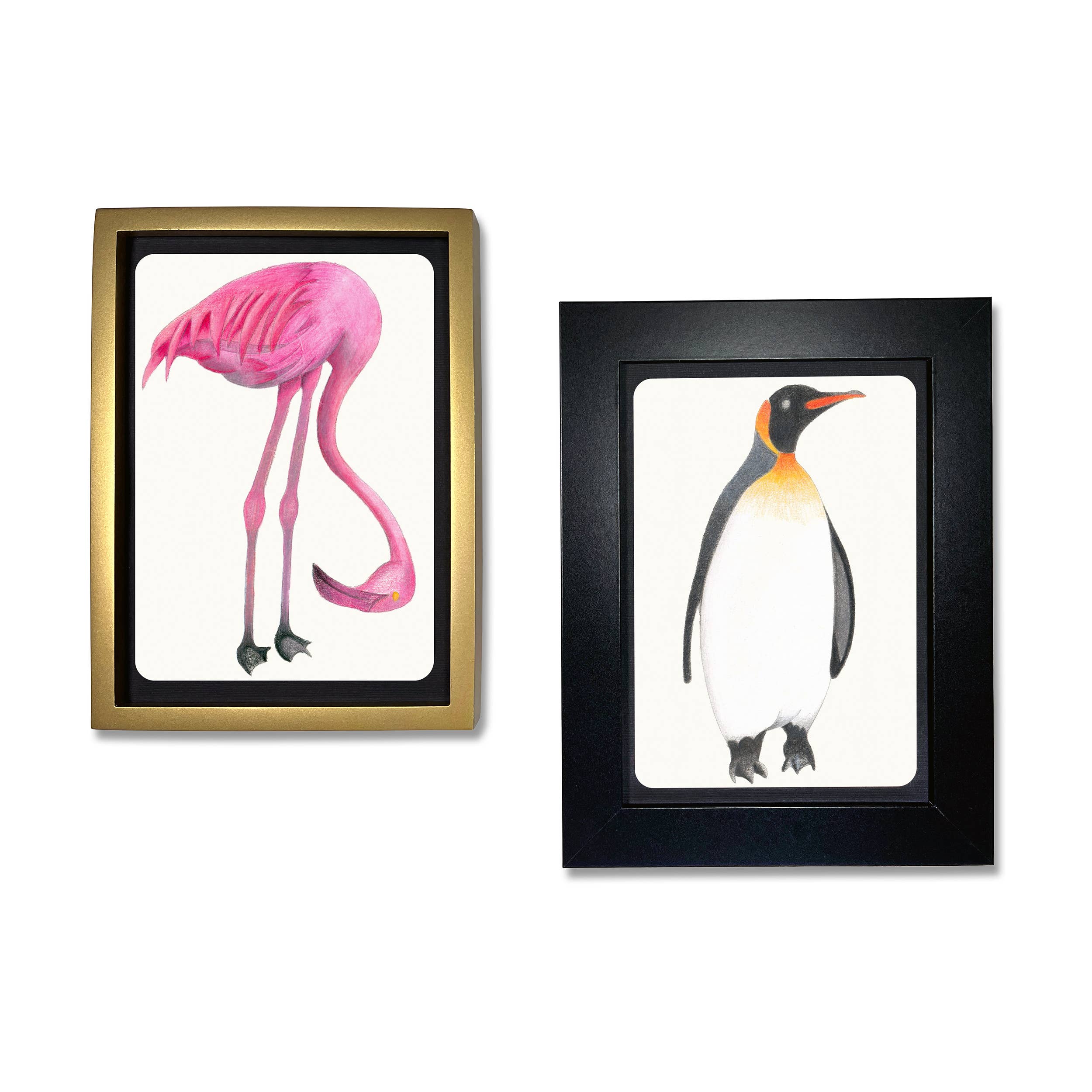 Coloring Postcards w/ 6 Bird Designs (30cards)