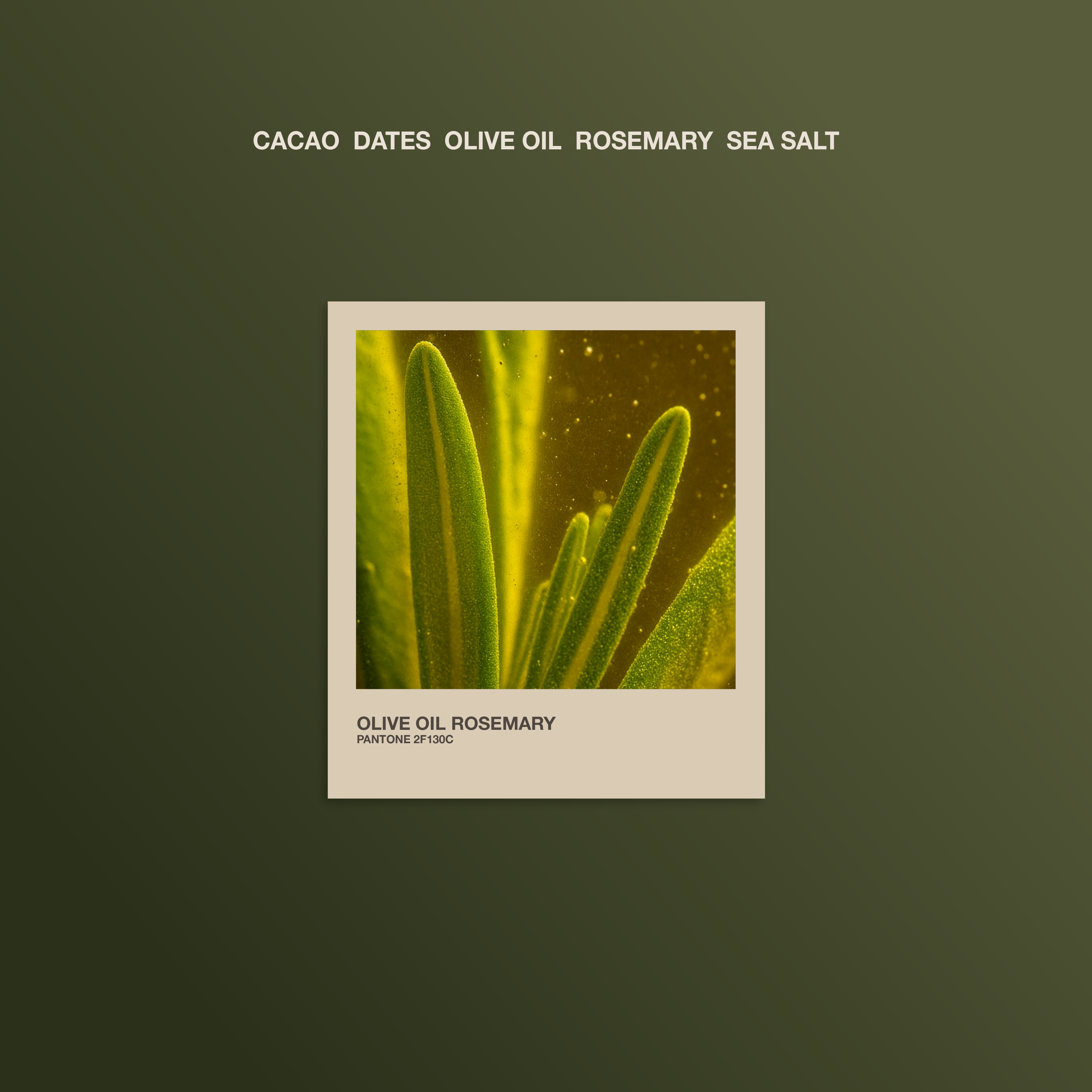 The Conscious Bar - Olive Oil Rosemary – Limited Edition