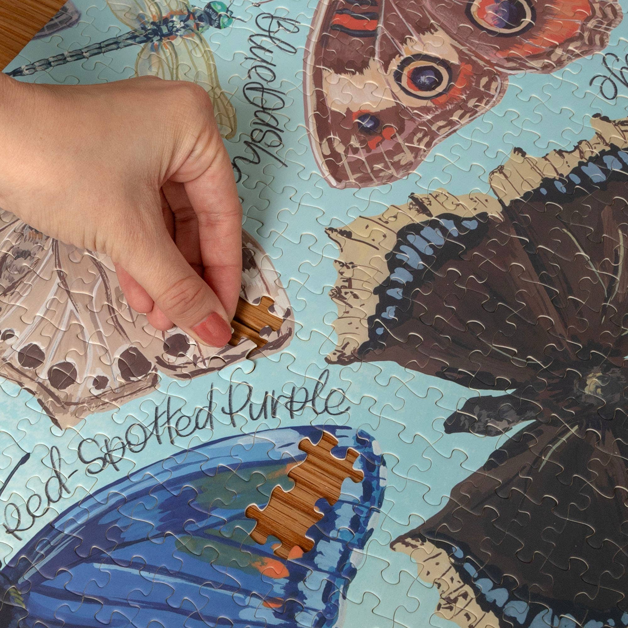 Flutter Friends Butterfly - 1,000 Piece Jigsaw Puzzle