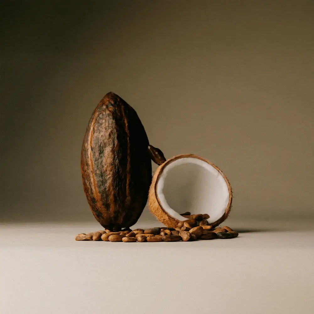 The Conscious Bar - Date Sweetened Dark Chocolate - Toasted Coconut Flakes