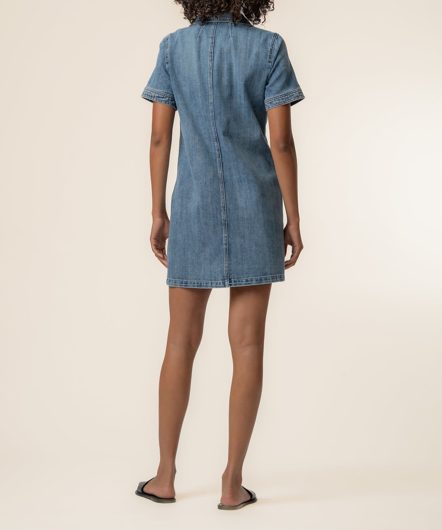 Parker Denim Dress