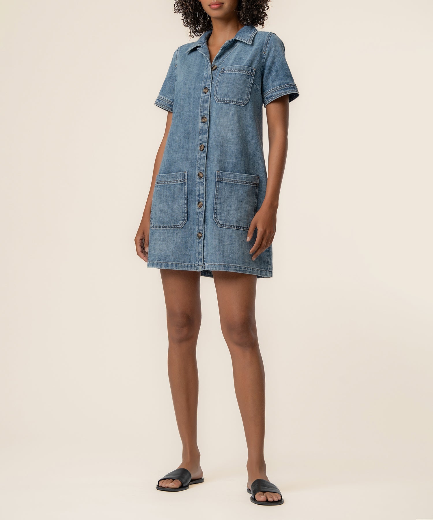 Parker Denim Dress