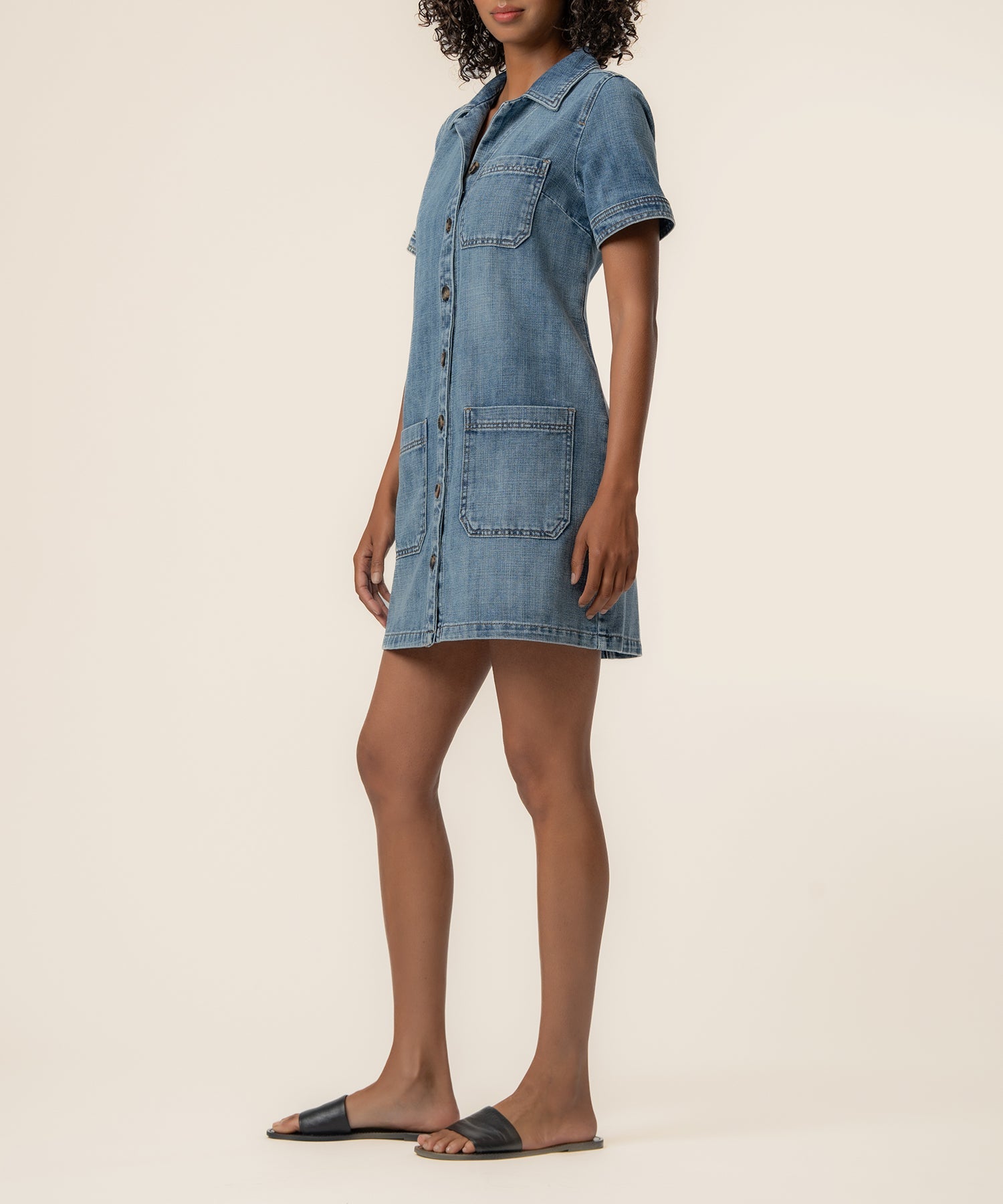 Parker Denim Dress