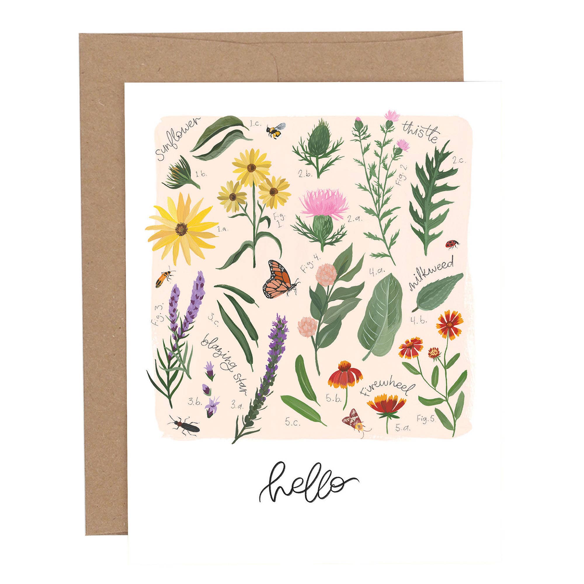 Hello Wildflowers Everyday Greeting Card