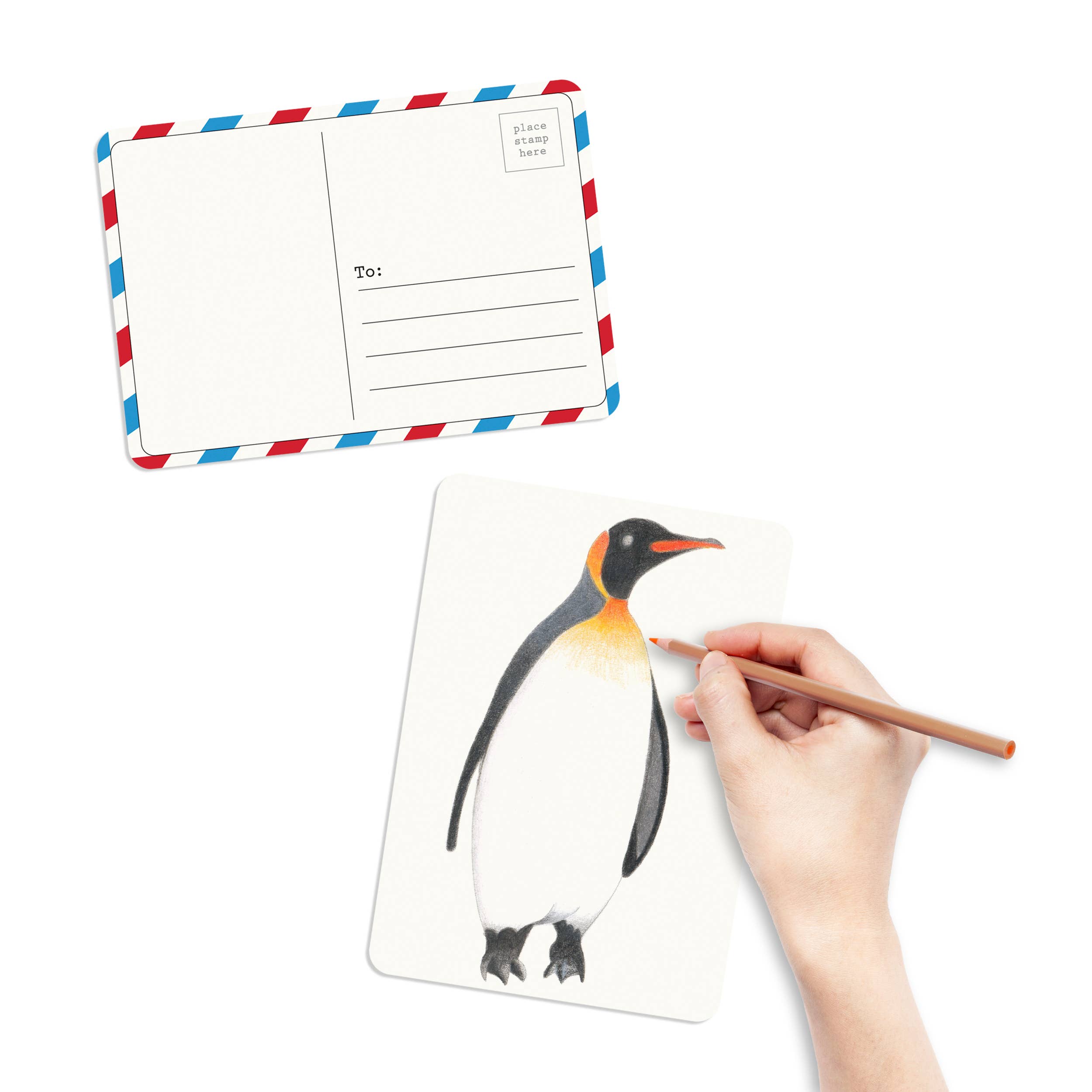 Coloring Postcards w/ 6 Bird Designs (30cards)