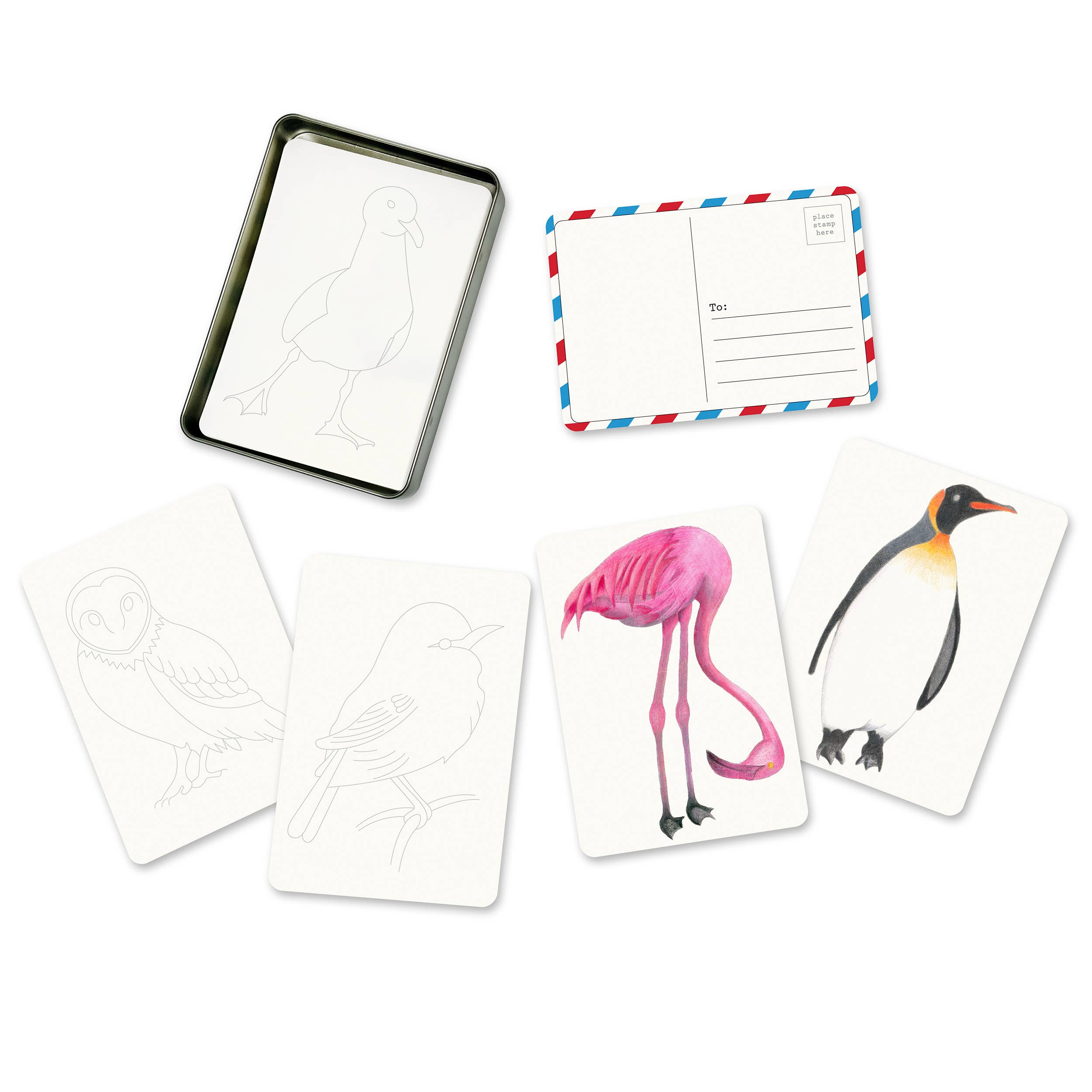Coloring Postcards w/ 6 Bird Designs (30cards)