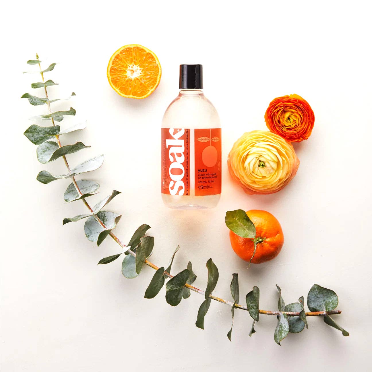 Soak Wash - Full Size 12 fl.oz