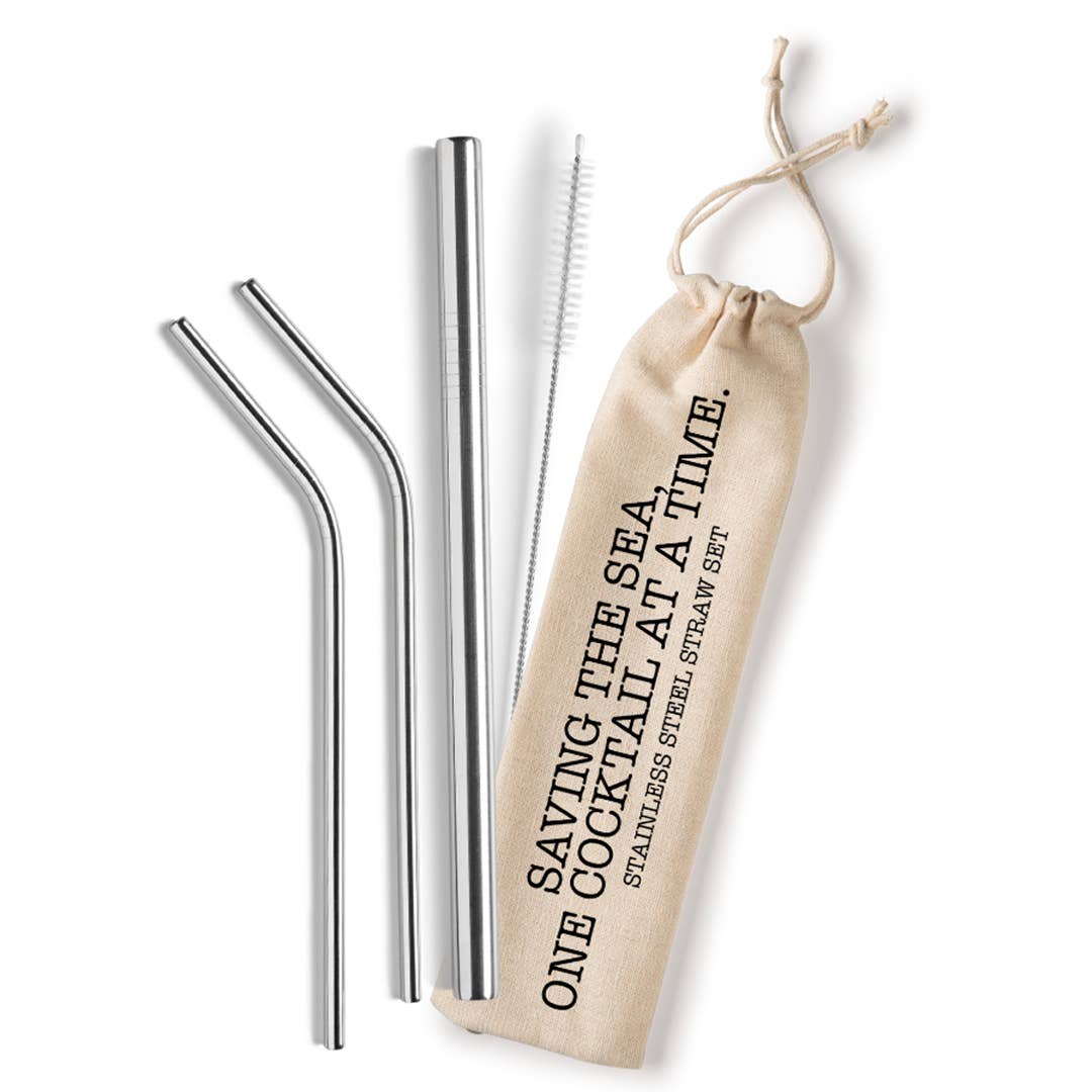 Stainless Steel Reusable Straw Set